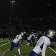 IMG-0228