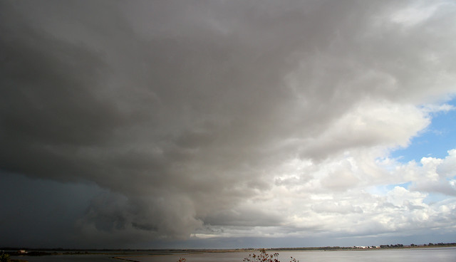 IMG-3339