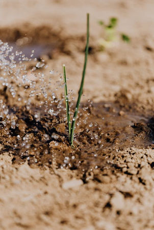 Irrigation Supplies Perth Irrigation-Supplies-Perth
