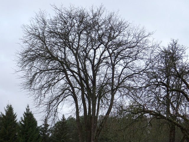 DSC00002.jpg