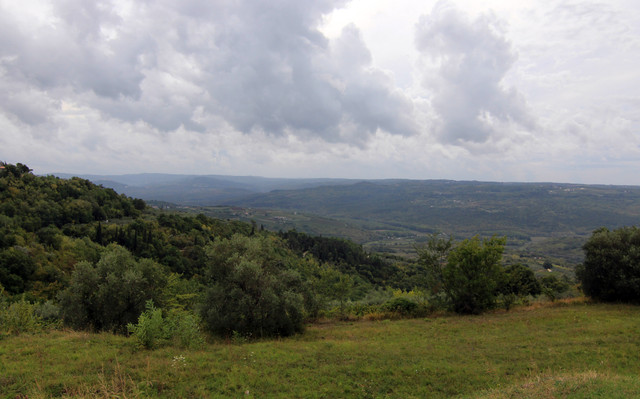 IMG-9580.jpg