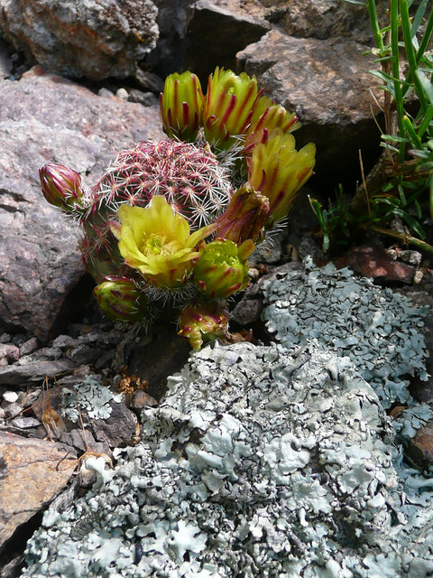 P1230677
