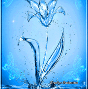 4.gif