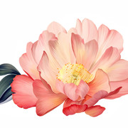 shutterstock-1017836686