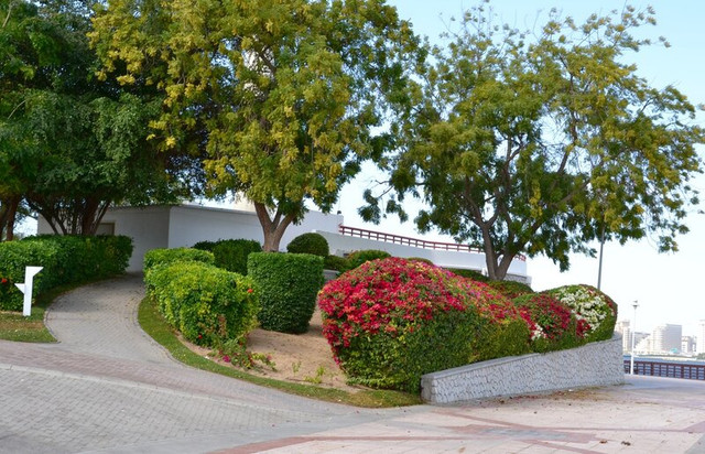 DSC-0125