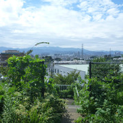 P1350293