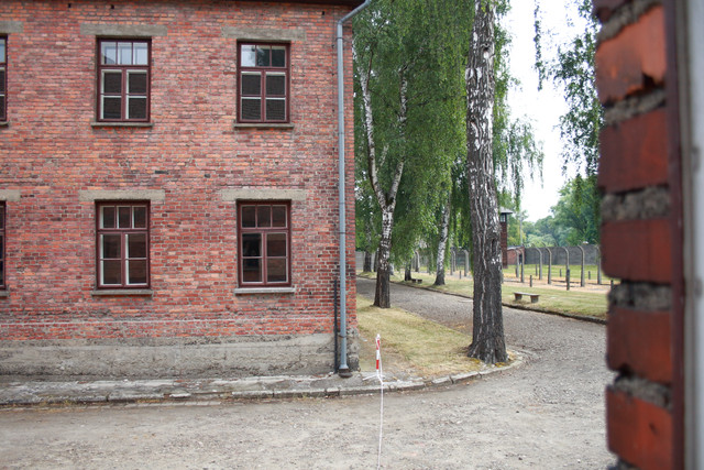 IMG-5809.jpg