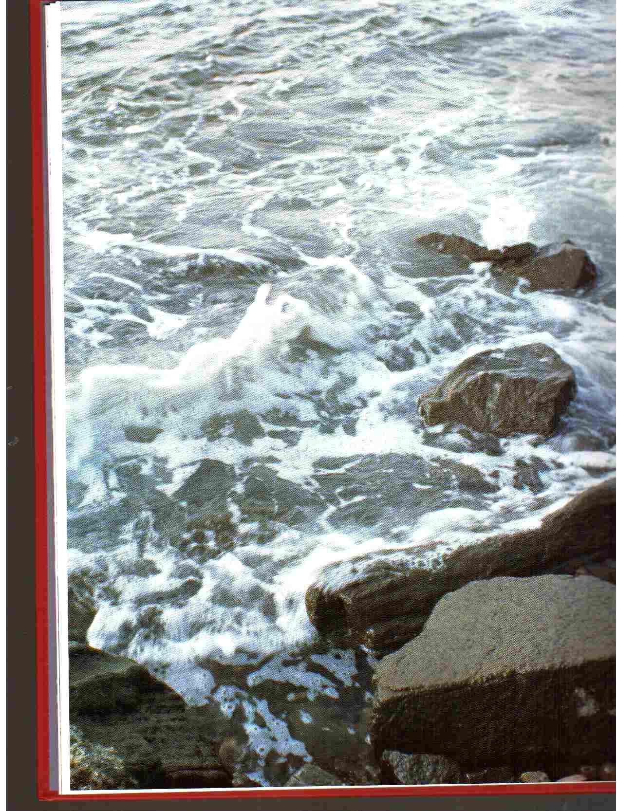 Page-00024