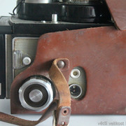 IMG-2594