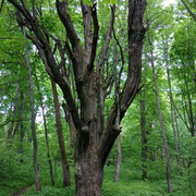 IMG-20220604-140505