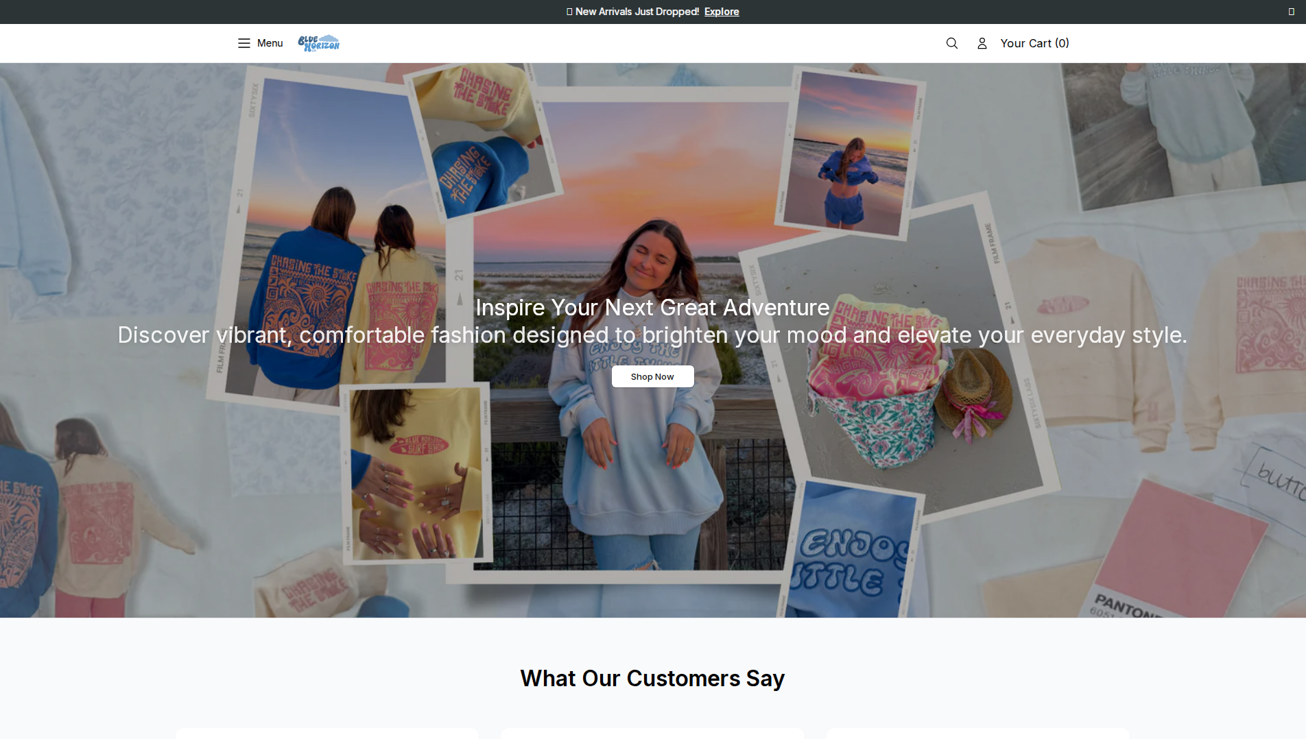 Primary capture · bluehorizonclothingcostore.shop