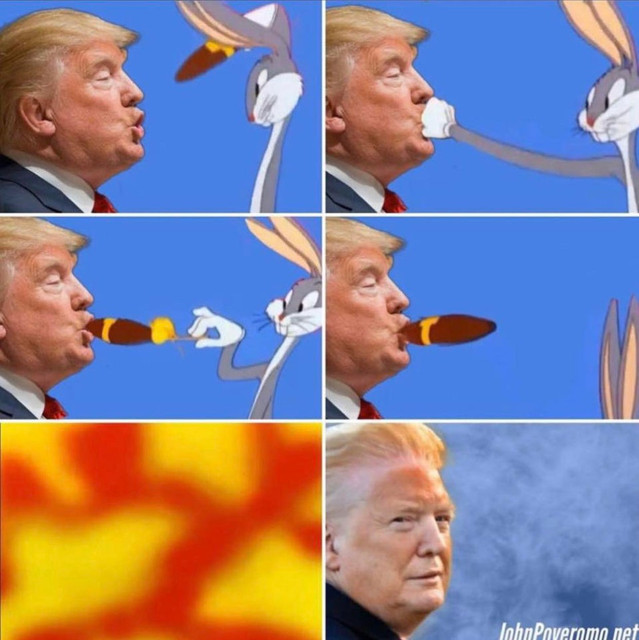 2vbf2o8insf41
