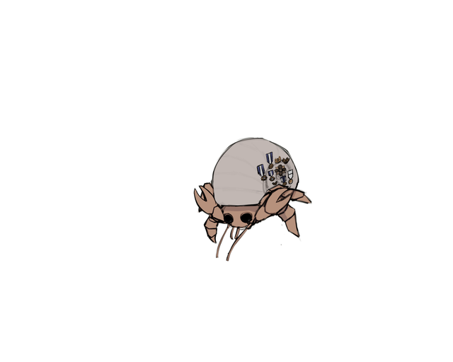 1778648743700.png