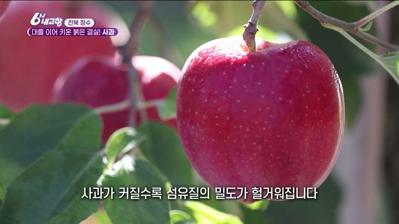6시내고향 장수 사과주스 추가 캡처 2