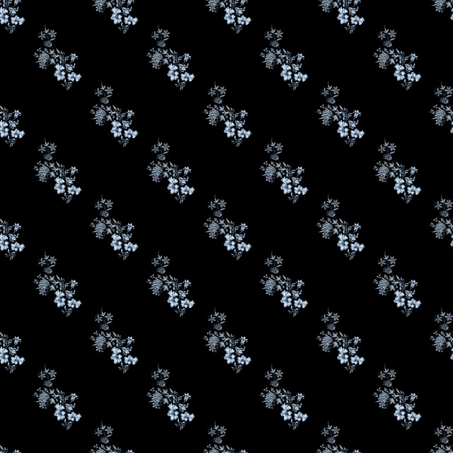shutterstock 2298155501.jpg