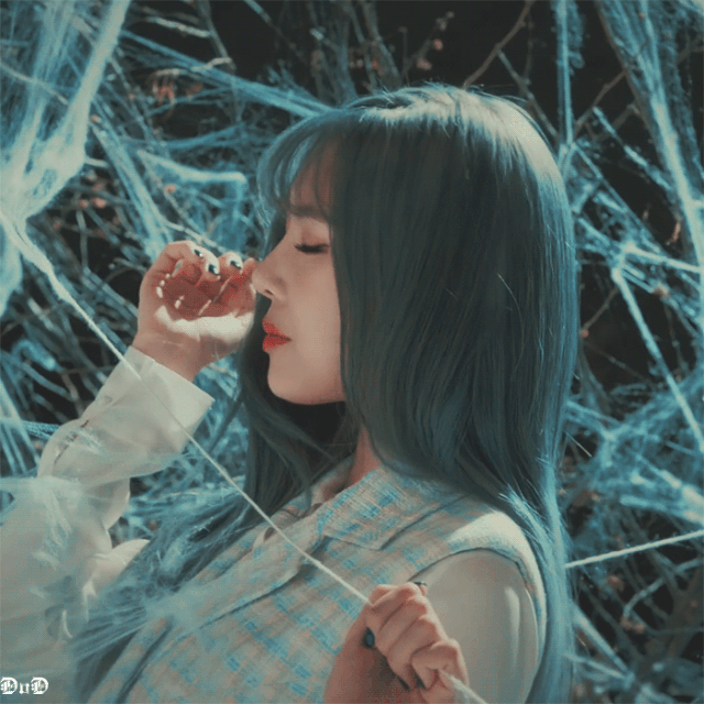 Untitled-11.gif