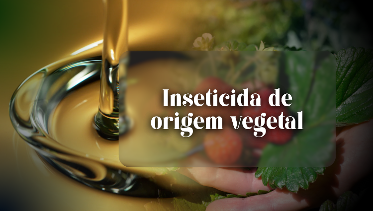 Ifes, Incaper e Ufes obtêm carta-patente para composição inseticida de origem vegetal.