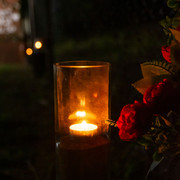 DSC0697
