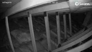 RAT3 - 20260111-225843