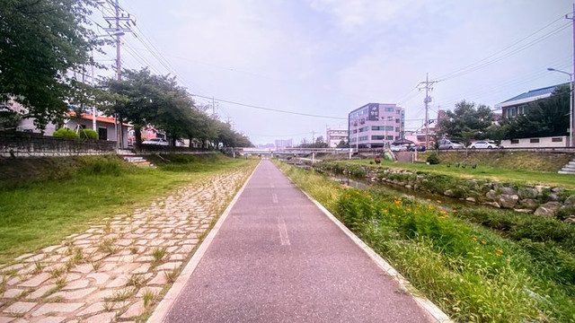대전
