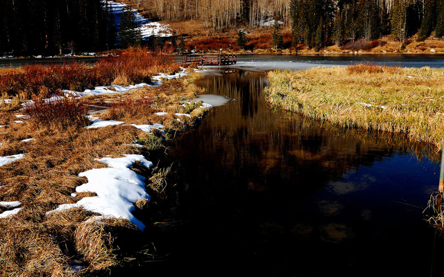 spring-052