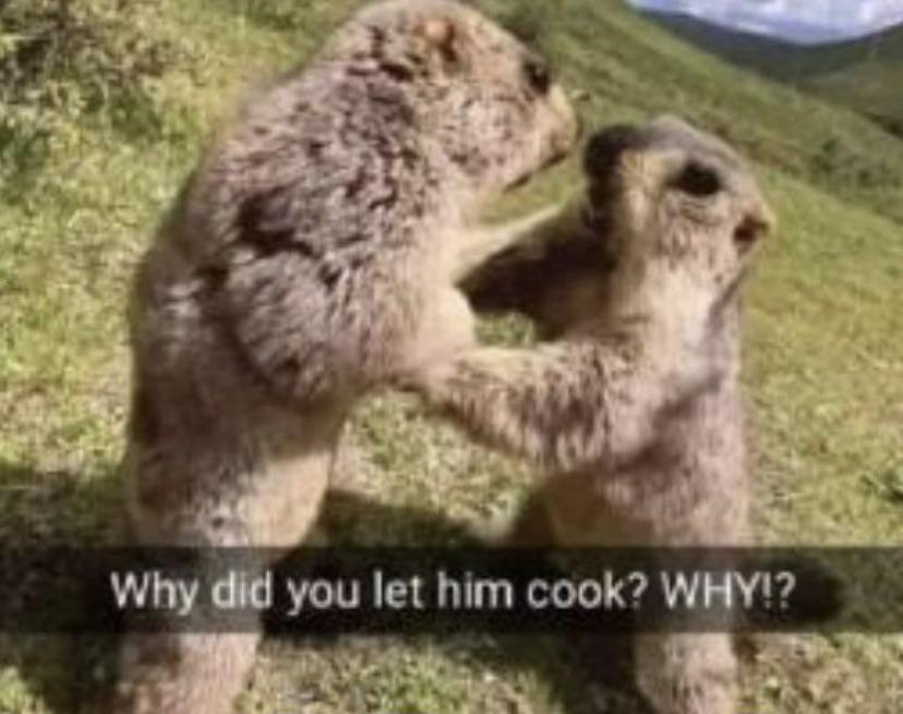 let-him-cook.jpg