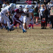 IMG-4150