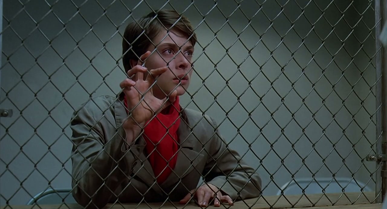 Cat People Screenshot
