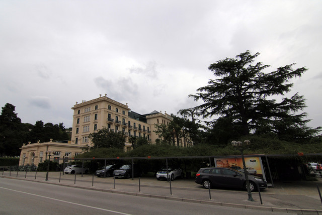IMG-9754.jpg