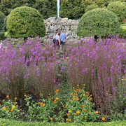 IMG-0695