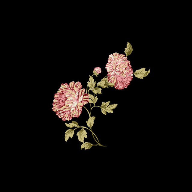 shutterstock 1609616398