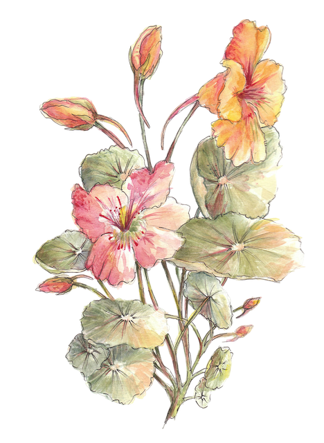3710166685-d27d0b291a-b-Photoroom.png