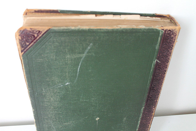 IMG-7623.jpg