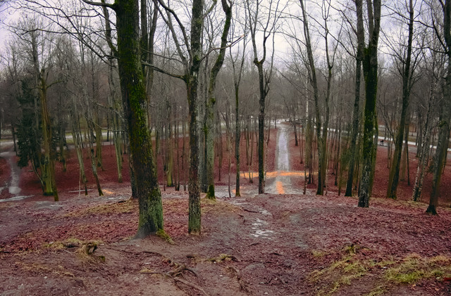 DSCF0977.jpg
