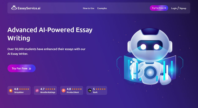 essay