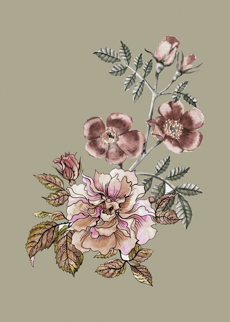 shutterstock-2275112829.jpg