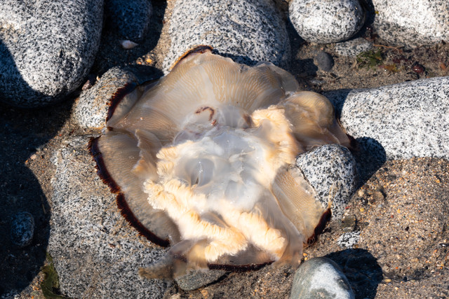 DSCF5838.jpg