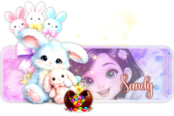 Sandy 93ºBanner.png