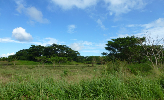 P1070088