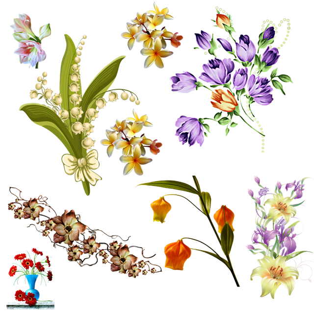 09bcbe164fa59f4119cfbc69a48352a2.png