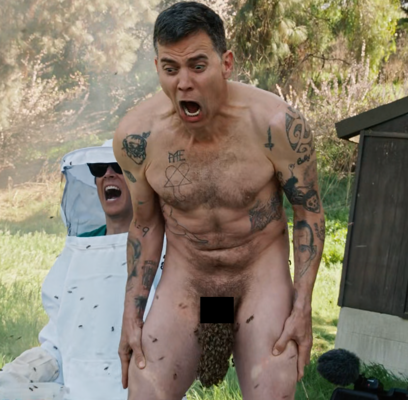 steve-o.png