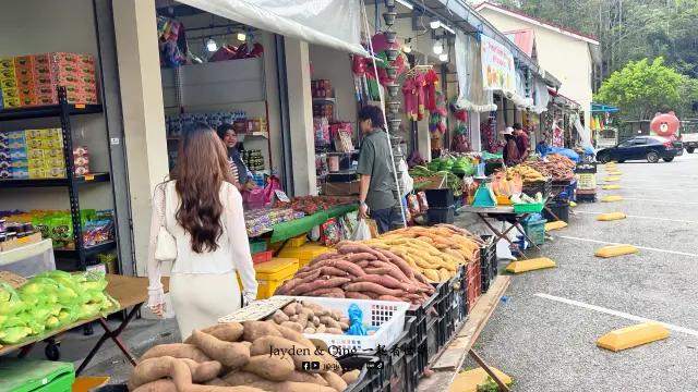 Agro Market2.webp