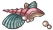 Seashells