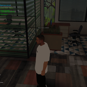 Screenshot 38