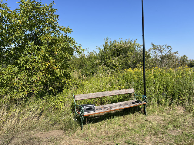IMG-9351.jpg