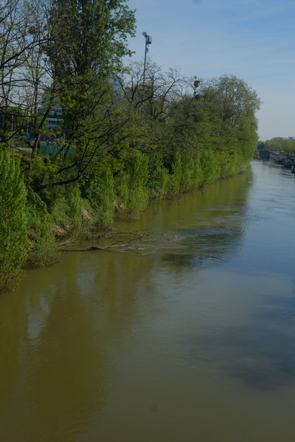 DSCF8992.jpg