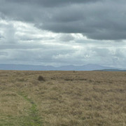 IMG 20260909 WA0002