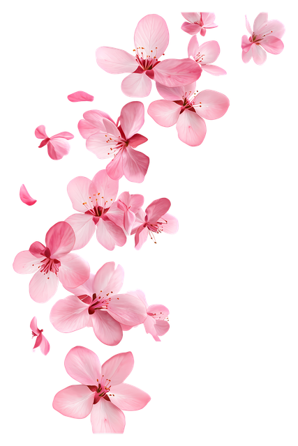 2ab978170d7b5a5ca7ce4df2dd58fa28.png