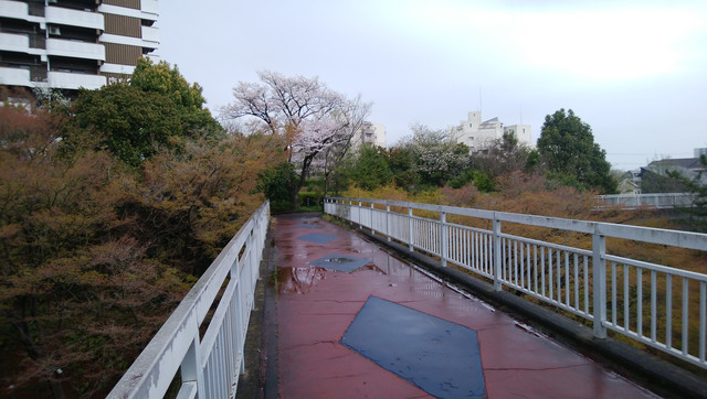 DSC-0048