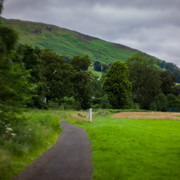 L1461263